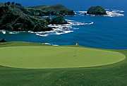 Golf Course For The Lodge At Kauri Cliffs